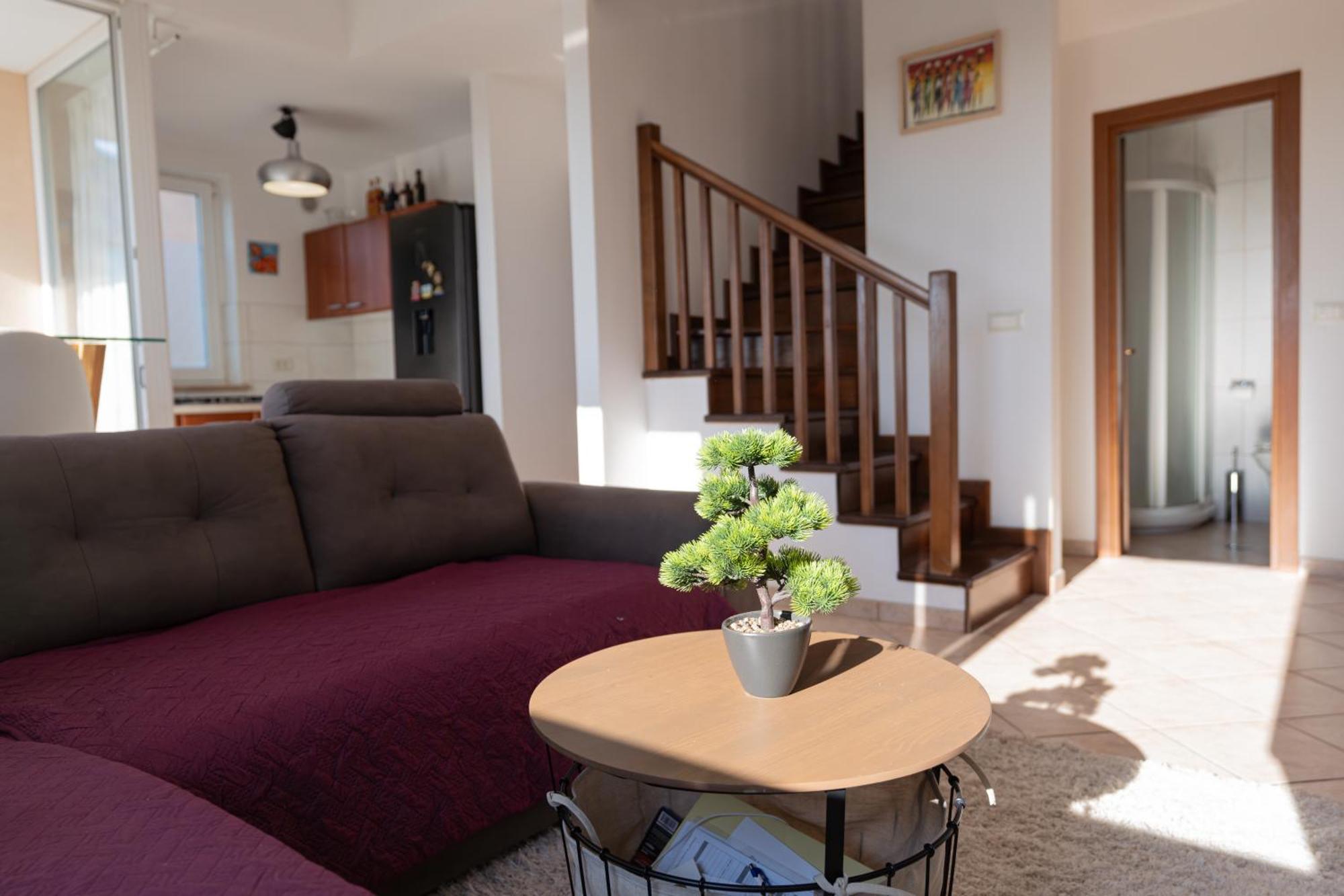 Appartement Two-bedroom Niki Near